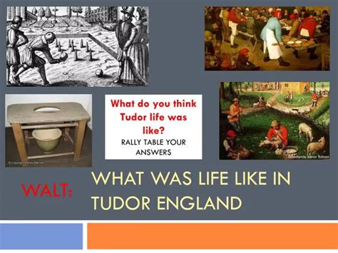 tudor life expectancy